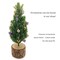 Tiny Christmas Tree, 6.5 inches, Miniature Tree for Dollhouse or Desk, Adorabilities